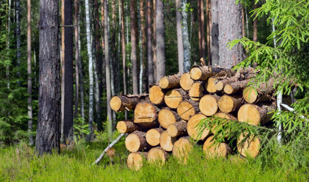 Forestry Operations