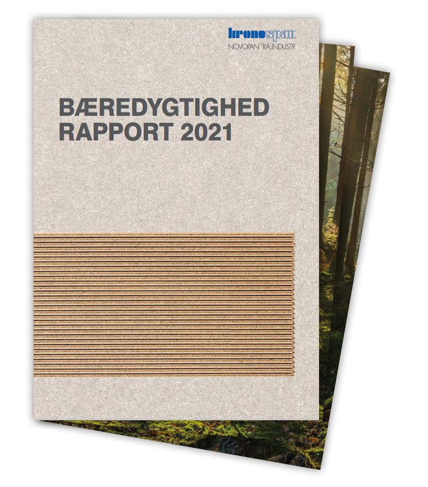 Baredygtighed