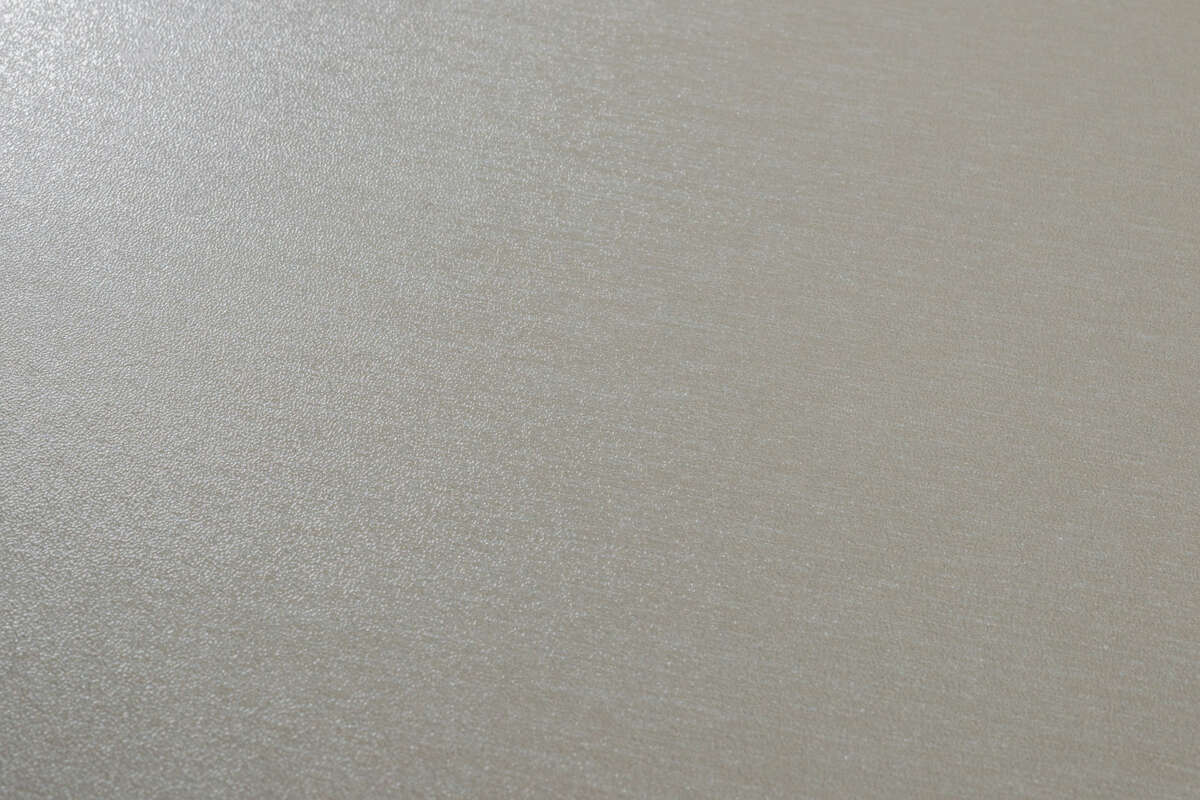 K523 Platinium Disk – Texture close-up (PE)