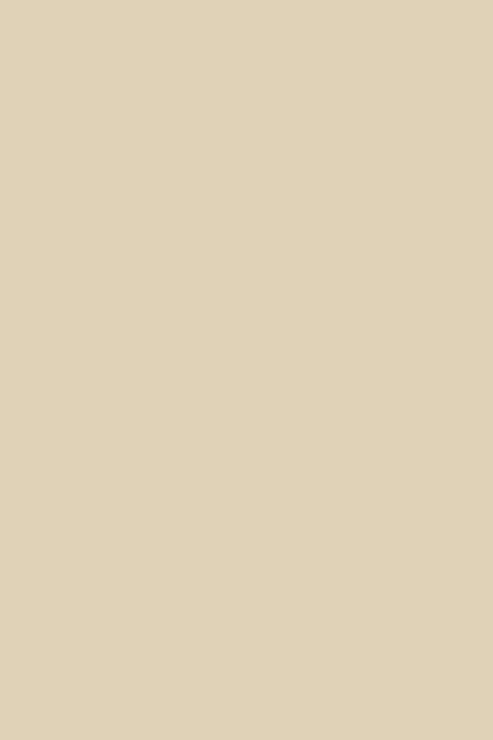0522 Beige decor