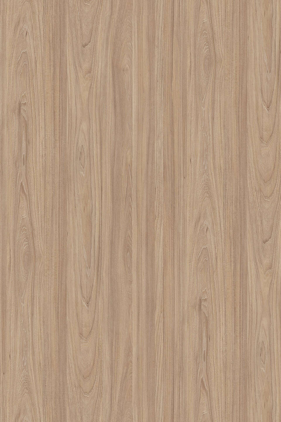 5500 Natural Noble Elm decor
