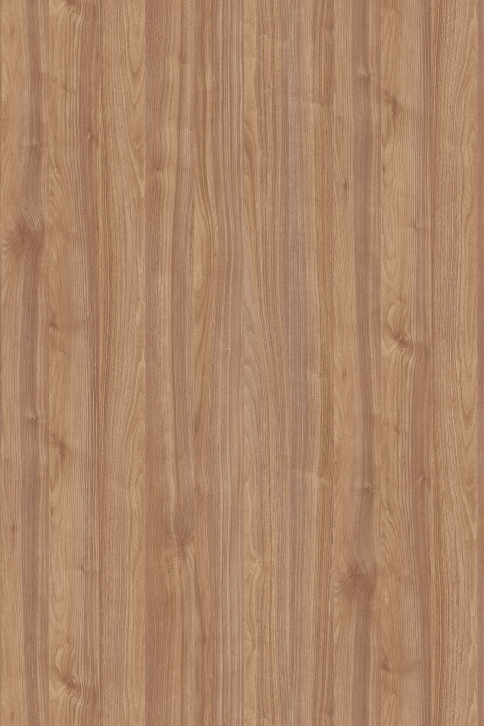 K008 Light Select Walnut decor